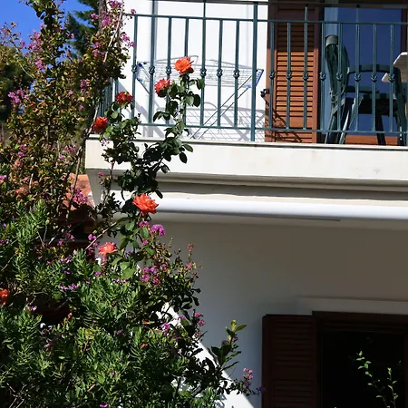 Apartment Nina's House *