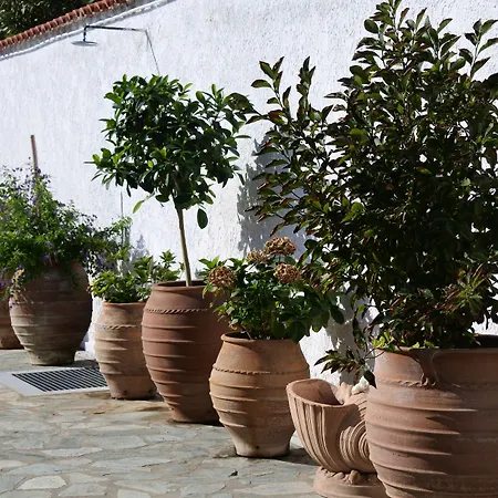 Nina's House Apartment Achladies (Skiathos)