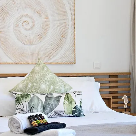 Nina's House Apartment Achladies (Skiathos)