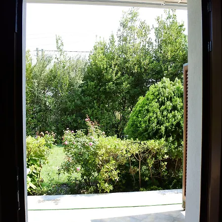 Nina's House