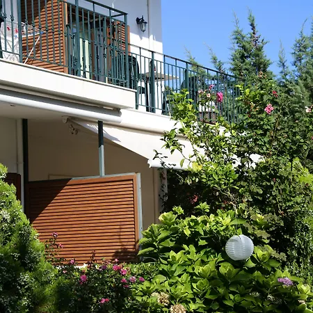 Nina's House